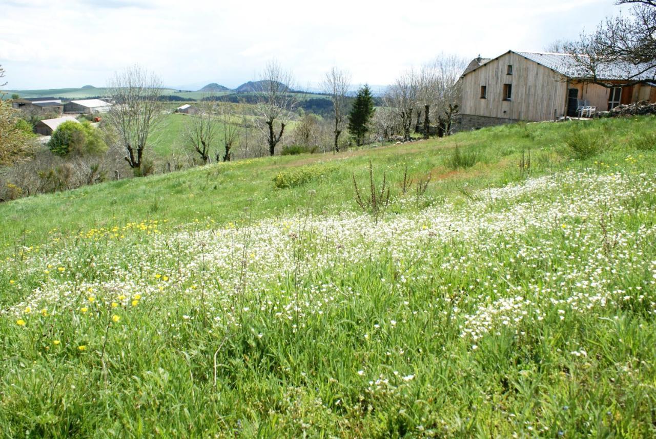 Gites La Boletiere Saint-Étienne-du-Valdonnez 外观 照片
